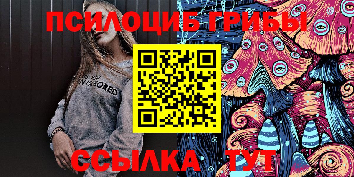 как найти   Вход с VPN  Ачинск  Псилоцибиновые грибы Psilocybine cubensis 
